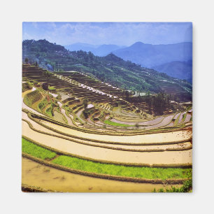 Íman Ásia, China, Província de Yunnan, Condado de Yuany