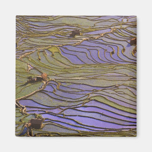 Íman Ásia, China, Província de Yunnan, Yuanyang. Inunda