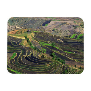 Íman Ásia, China, Yunnan, Honghe. Arrozais perto