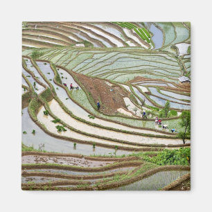 Íman Ásia, China, Yunnan, Jinping. pessoas Yi nativas