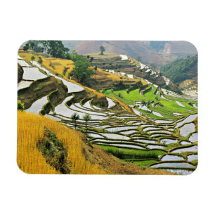 Íman Ásia, China, Yunnan, Prefeitura de Yuxi; Yuanjiang
