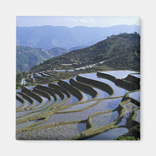 Íman Ásia, China, Yunnan, Yuanyang. Áspero