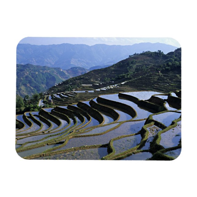 Íman Ásia, China, Yunnan, Yuanyang. Áspero (Horizontal)