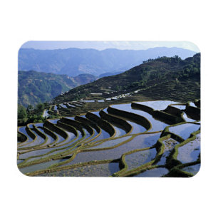 Íman Ásia, China, Yunnan, Yuanyang. Dissipado