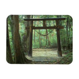 Íman Ásia, Japão, Kagoshima, Yakushima, Montanha