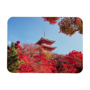 Íman Ásia, Japão, Quioto. Cor de Outono