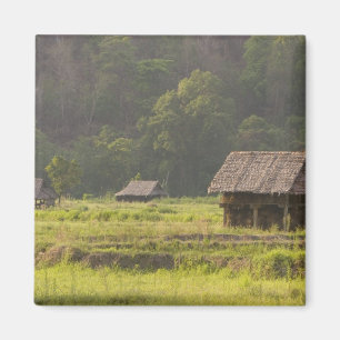 Íman Ásia, Tailândia, Mae Hong Son, Cabanas de arroz no