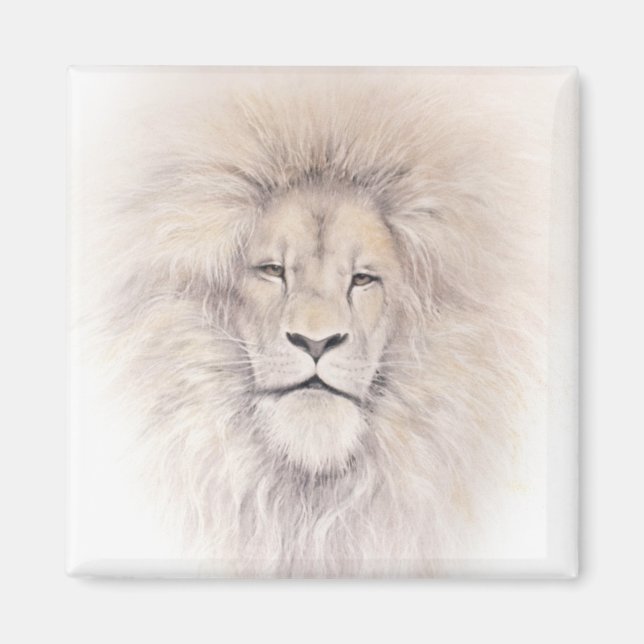 Íman Aslan (Frente)