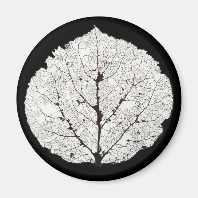 Íman Aspen Esqueleto 1 (Frente)