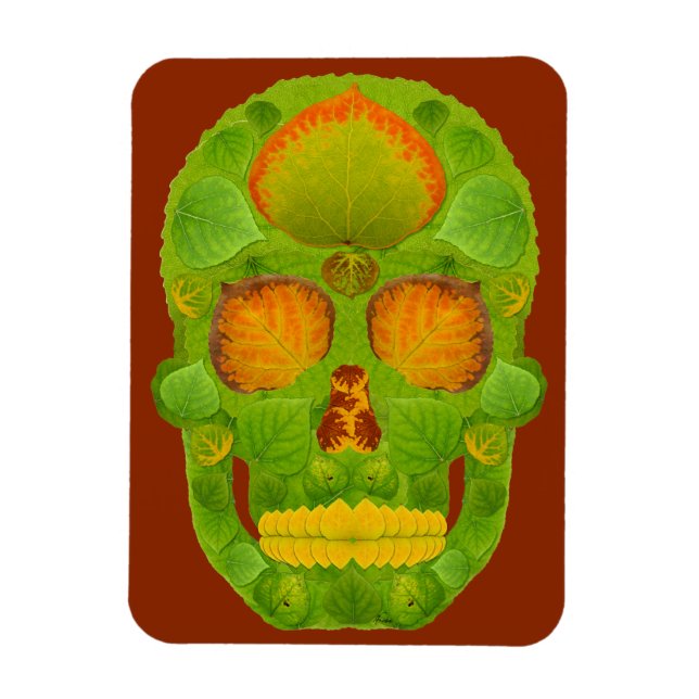 Íman Aspen Folha Skull 10 (Vertical)