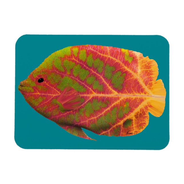 Íman Aspen Peixe Tropical 1 (Horizontal)