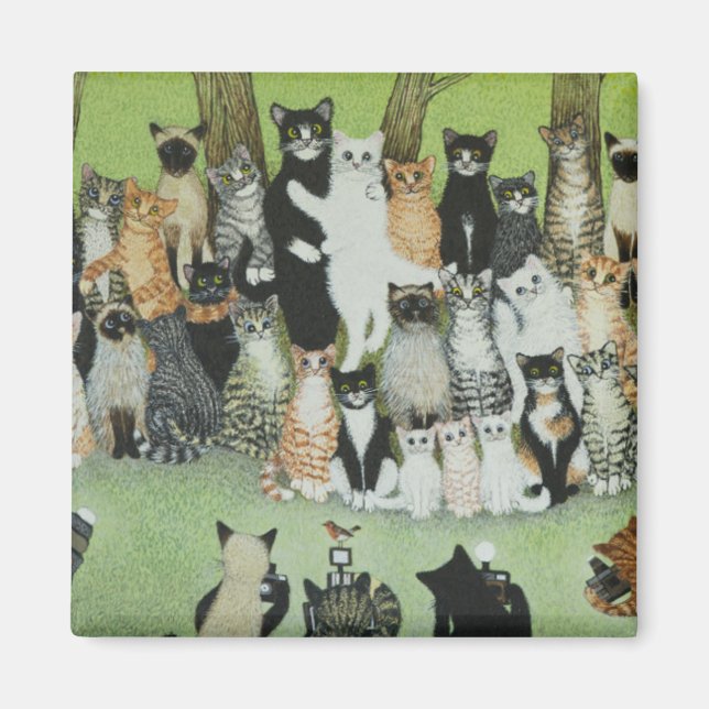 Íman Assista o Birdie (Frente)