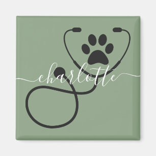 Íman Assistente Veterinário Veterinário Veterinário Vet