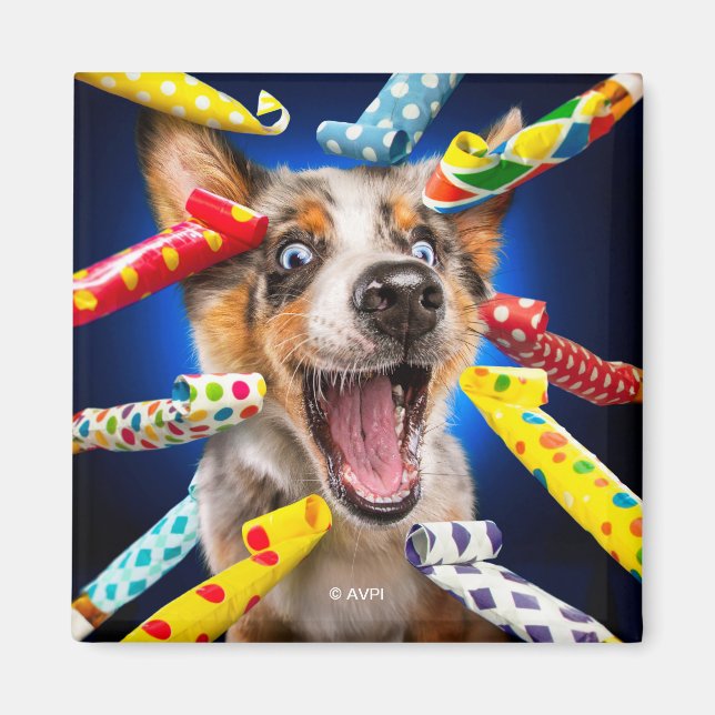 Íman Assopradores de Festa de Cachorro Feliz (Frente)