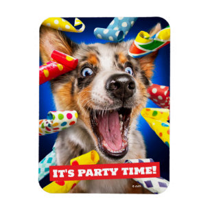 Íman Assopradores de Festa de Cachorro Feliz