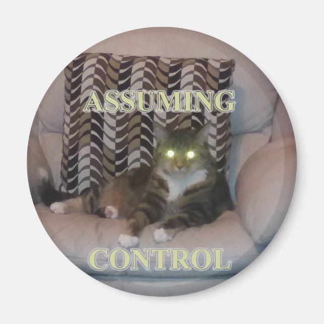 Íman Assuming Control cat magnet (Frente)