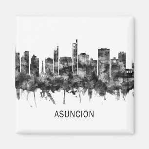 Íman Assunção Paraguai Skyline BW