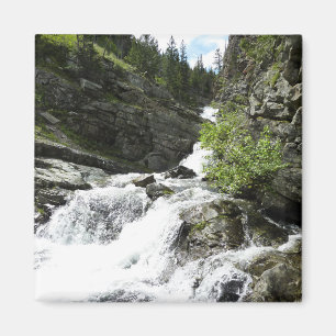Íman Aster Creek no Parque Nacional Glacier