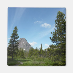 Íman Aster Park Trail no Glacier National Park