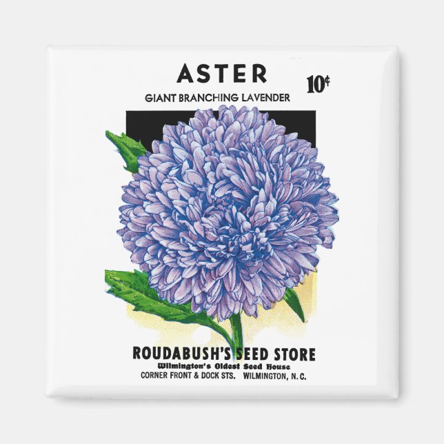 Íman Aster Vintage Seed Packet (Frente)
