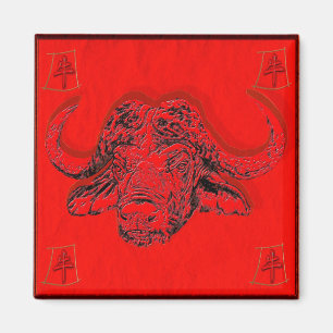 Íman astrologia chinesa