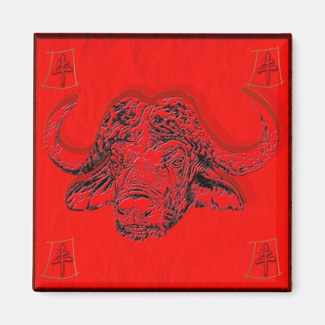 Íman astrologia chinesa (Frente)