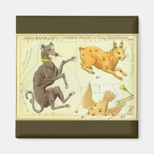 Íman Astronomia do Vintage, Gráfico de Estrelas do Mapa