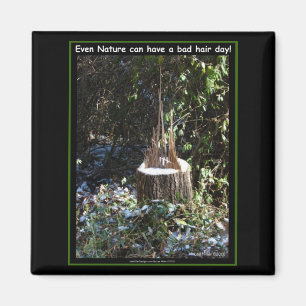 Íman Até A Natureza Pode Ter Um Dia De Cabelo Mau! Roup