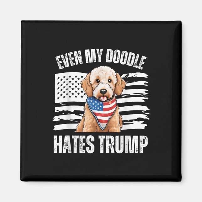 Íman Até Meu Ouro Odeia Trump Liberal Harris D (Frente)