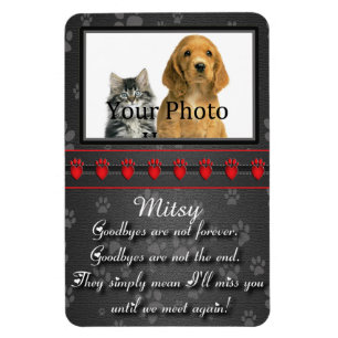 Íman Até nos encontrarmos novamente Memorial para Gato 