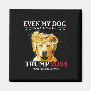 Íman Até O Meu Cachorro Está À Espera De Trump 2024 Cac