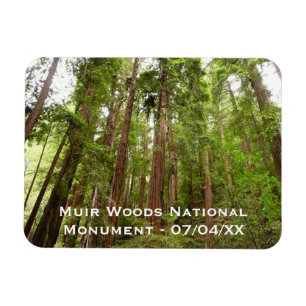 Íman Até Redwoods I no Monumento Nacional Muir Woods