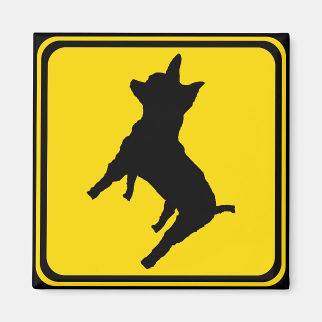 Íman Atenção: Chihuahua à frente! (Frente)