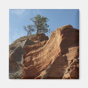 Íman Aterrissagem em Anjos no Parque Nacional de Zion