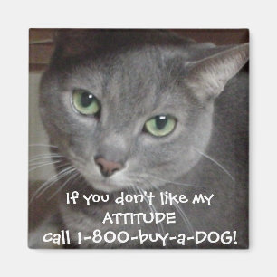 Íman Atitude Humor Gato Cinza Azul Russo