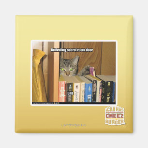 Íman Ativando Porta da Sala Secreta