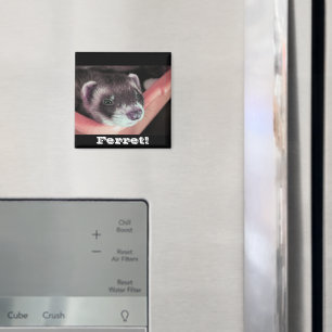 Íman Ativar Magneta Ferret