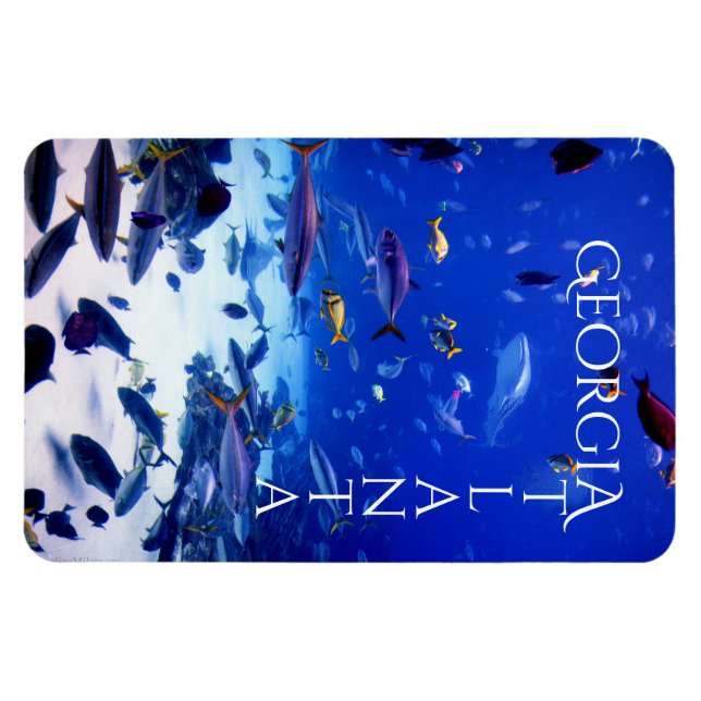 Íman Atlanta Georgia (Horizontal)