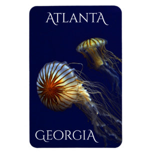 Íman Atlanta Georgia Curiosa medusa