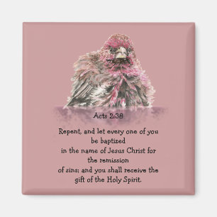 Íman Atos 2:38 Escritura Batismo Verso Pássaro na Água