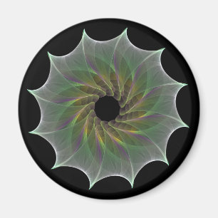 Íman atração caótica