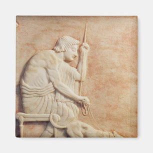 Íman Atracção animal