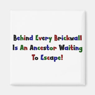 Íman Atrás De Cada Muro De Frango Está...