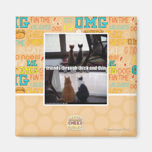 Íman Através de espesso e fino