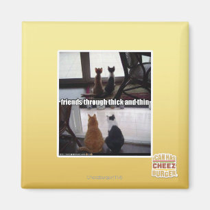 Íman Através de espesso e fino