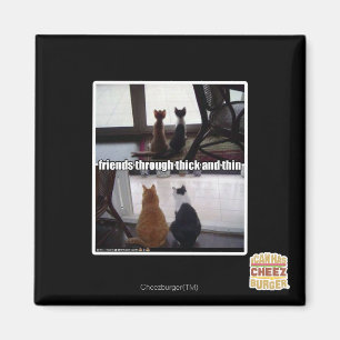 Íman Através de espesso e fino