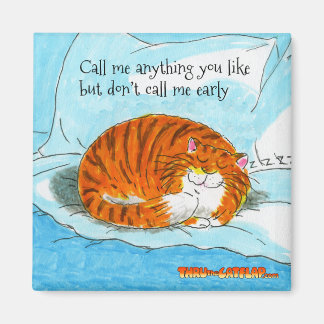 Íman Através do ímã do Cat Flap - "Não me chame mais ce