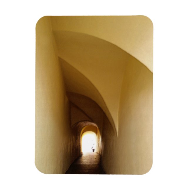 Íman através do túnel (Vertical)