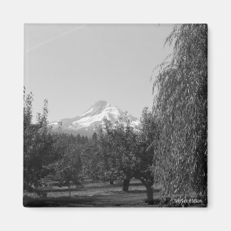 Íman August Mt Hood Magnet