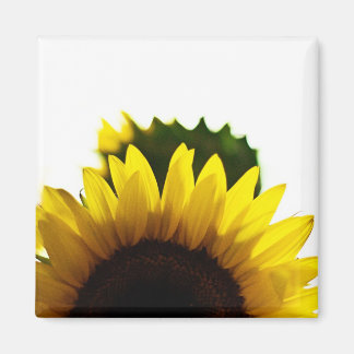 Íman Aumento e ímã